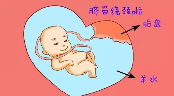 香港疫情试管婴儿开放了，可以去做试管婴儿吗？