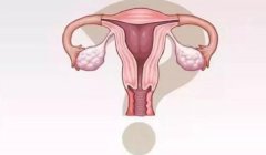 <b>如果我的输卵管堵塞了，我可以做试管婴儿吗？如果你的输卵管堵塞了，就很难</b>