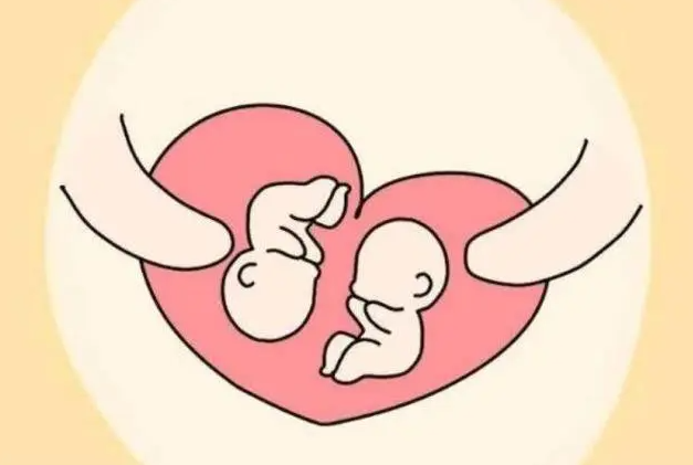 在香港做试管婴儿生双胞胎的几率有多大？