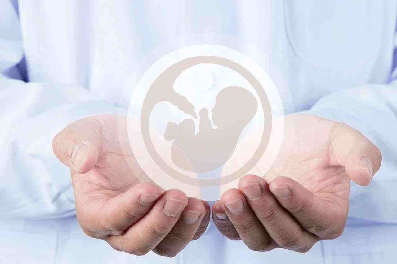 包头捐卵-北京公立医院捐卵价格，试管婴儿捐卵费用一目了然!